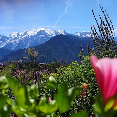 Duo Des Alpages Vue Exceptionnelle Sur Le Mont Blc Apartment
