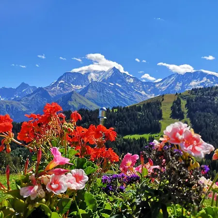Apartment Duo Des Alpages Vue Exceptionnelle Sur Le Mont Blc