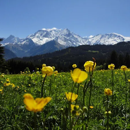 Duo Des Alpages Vue Exceptionnelle Sur Le Mont Blc
