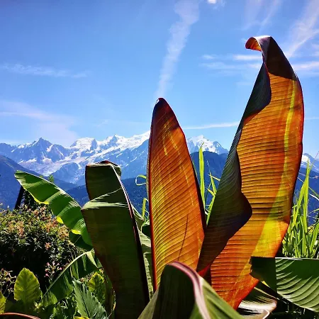 Apartment Duo Des Alpages Vue Exceptionnelle Sur Le Mont Blc *