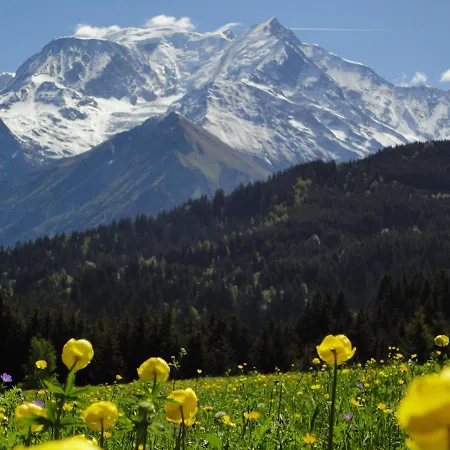 Duo Des Alpages Vue Exceptionnelle Sur Le Mont Blc Apartment