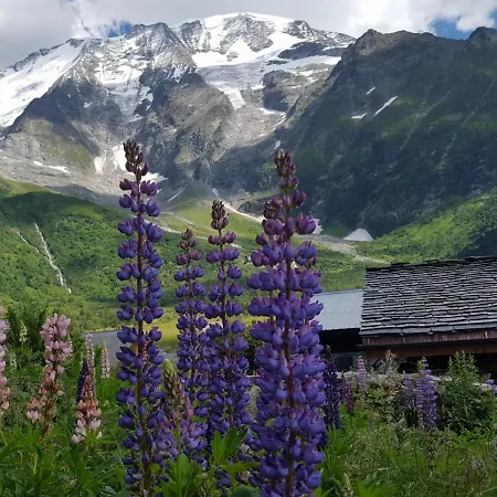 Apartment Duo Des Alpages Vue Exceptionnelle Sur Le Mont Blc Saint-Gervais-les-Bains