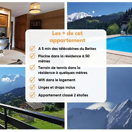Duo Des Alpages Vue Exceptionnelle Sur Le Mont Blc Apartment
